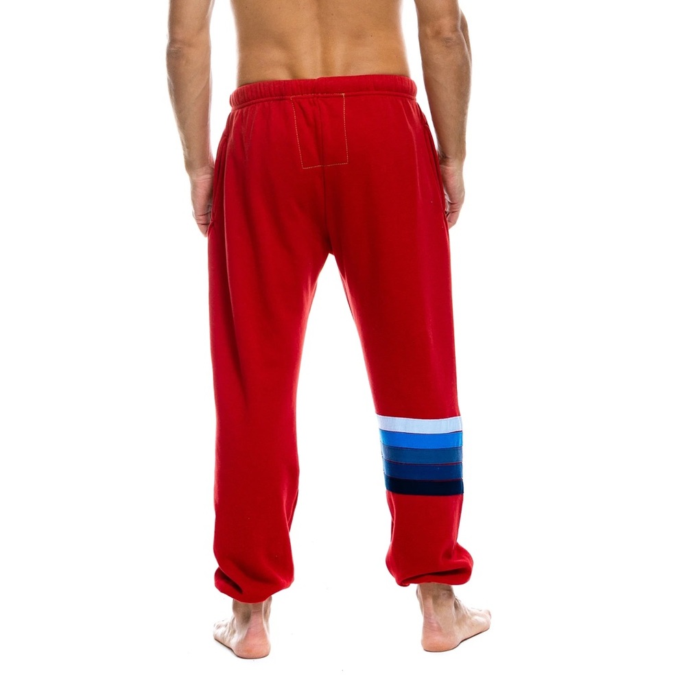 NWOT Aviator Nation Mens Sweatpants